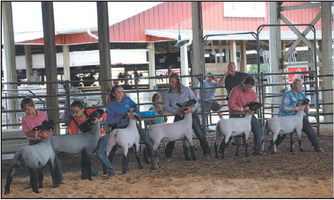 Washington County Fair Junior Livestock  Auction Celebrates 50 Years