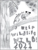 DNR Announces 2021 Keep Wildlife  Wild Poster Contest Winners