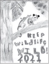DNR Announces 2021 Keep Wildlife  Wild Poster Contest Winners