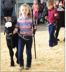 Little Britches, Beefers, Squealers, Lamb  Chops and Kids Show Competition