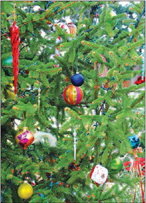 Selecting and Keeping Your  Christmas Tree Looking Its Best