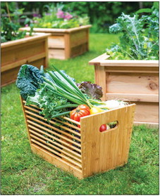 Gardening Gifts for Any Occasion